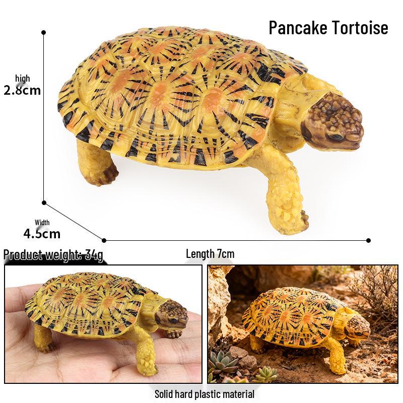 Children's Cognitive Marine Animal Models: Sea Turtle and Tortoise Toys