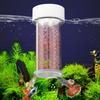 Peixes e animais aquáticos – Manutenção de aquário