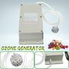 AC220V/50Hz 500mg Air Purifier Disinfecti Air Food Fruit Vegetable Water Fish Tank Disinfector