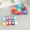 50 PCS Plastic Key Tags Split Ring ID Label Keychains for Organizing Locker Mailbox Apartment Office Home Keys