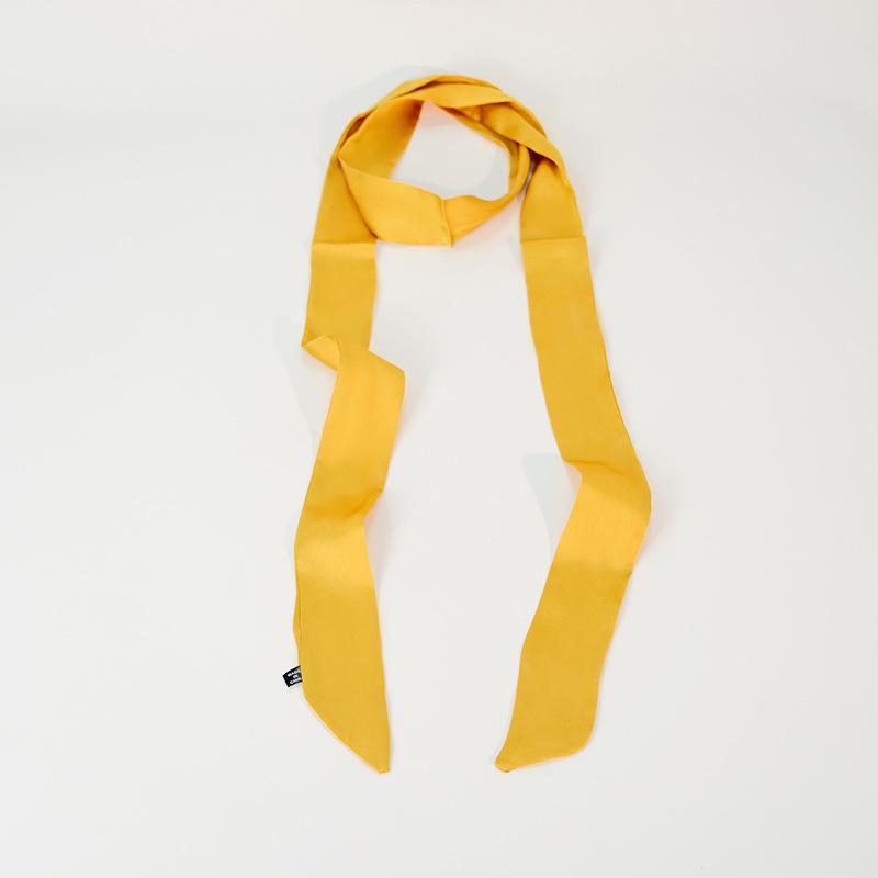 Elegante Sciarpa in Seta Raso 200cm: Accessorio Sottile, Lungo e Stretto da Donna per Capelli, Collo, Borsa o Cintura