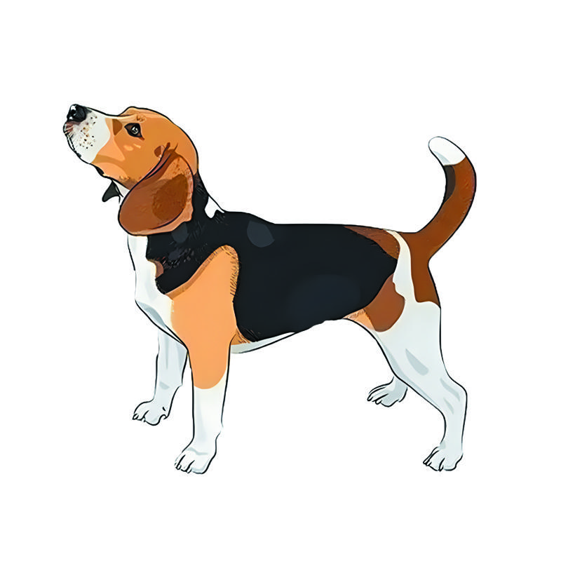 

JT144#15x13.5см Бигль Собака Графическая Автомобильная Наклейка Для Ноутбука Бутылка Воды Автомобиль Грузовик Мотоцикл Окно Стена Чашка Ящик Для Инструментов Гитара Скутер Наклейки 15x13.5cm