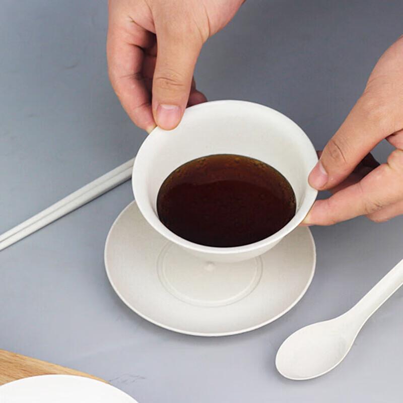 Paibei 10-Person 7-Piece Disposable Biodegradable Tableware Set