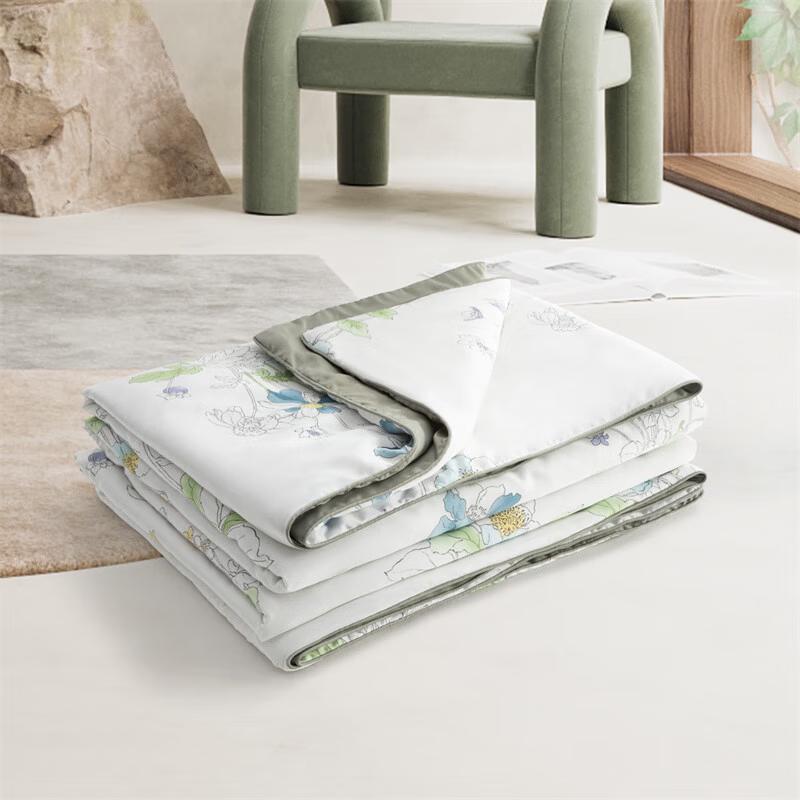 Mercury Home Textiles Lyocell Tussah Silk Summer Quilt