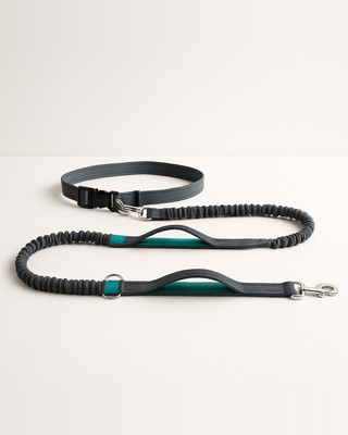 Reflexní vodítko Trakční lano Pet Pes Běžecký pás Elastické Ruce Volně Jogging Tahací Vodítko pro psa