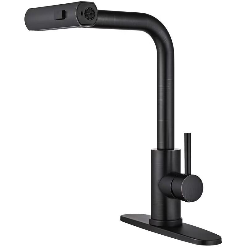 Stainless Steel Telescopic Kitchen Faucet