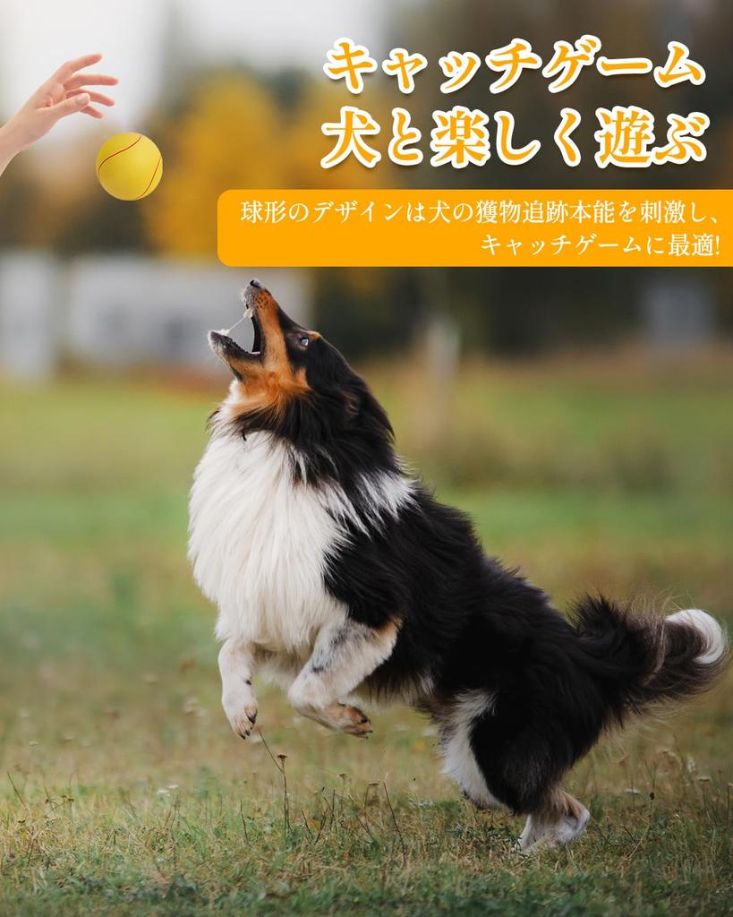 KrauzPet Dog Toys with Sounds Balls of Baseball Relieves Lack of Egg Educational Toy Chew Toy Suitable for Medium Dogs Set of [Made Latex, Soccer,