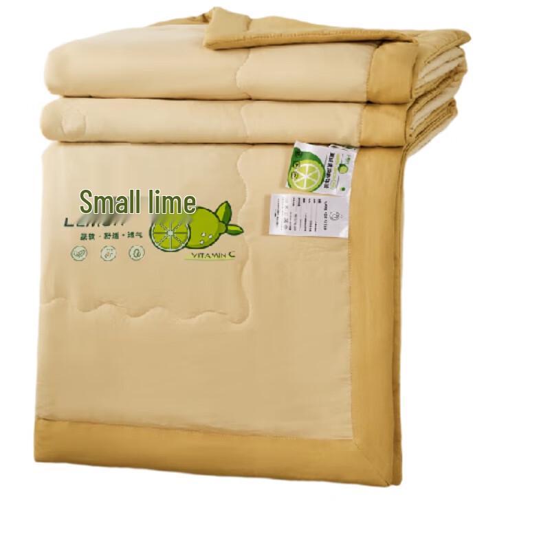 

Tang Na Soft Washed Cotton Summer Quilt