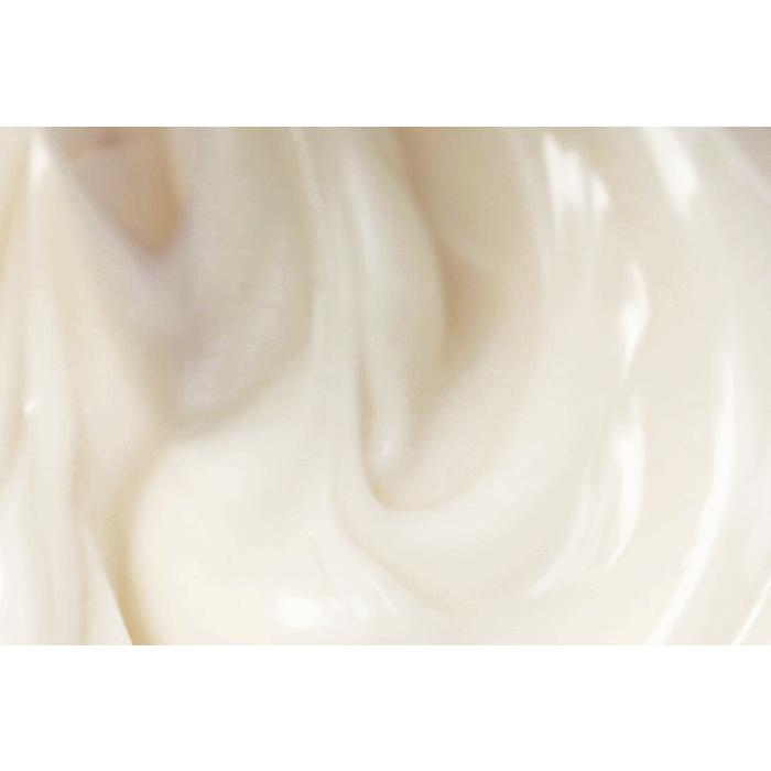 MISSHA Time Revolution Primestem 100 Cream 50ml
