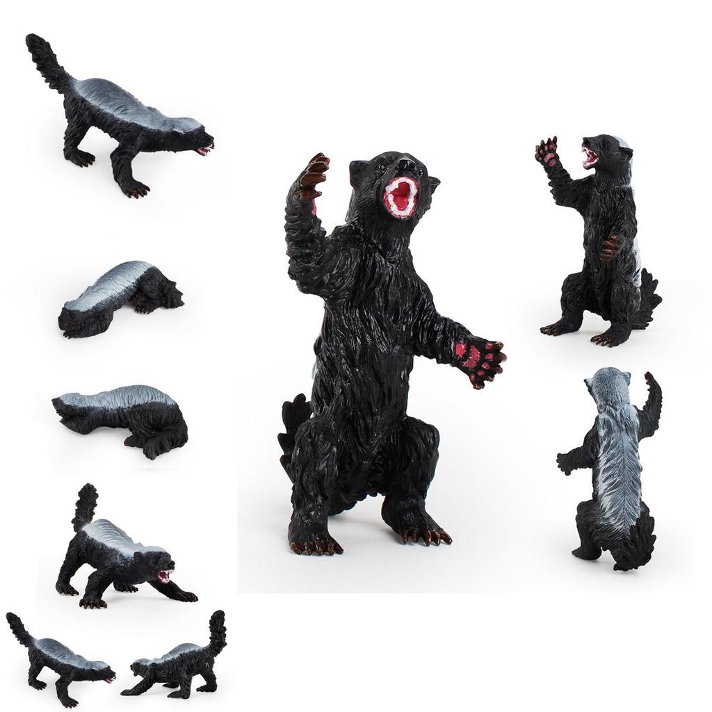 Premium Quality Honey Badger Ratel Figure Wild Animal Model Toy For Kids Gifts