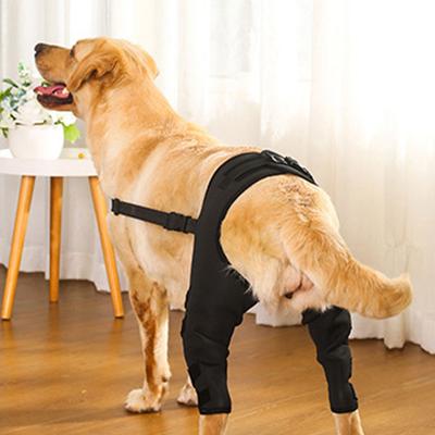 Hunde – Hundepflege-Artikel