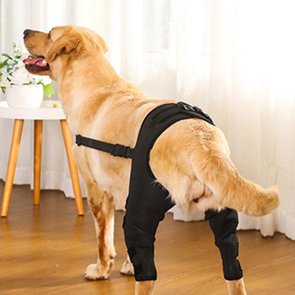 Knee Hip Joint Protector Dog Leg Support Brace Wound Recovery Prevent Injuries Canine Ligament Rehabilitation Accessory
