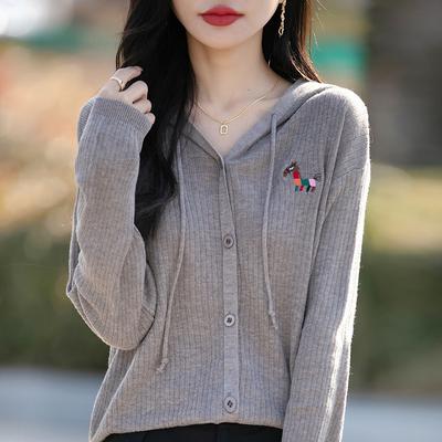 Frühling Neuer Kapuzenstrickcardigan Bestickt Buntes Pferd Locker und Vielseitiger Übermantel