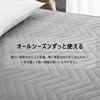 Queen Size Fitted Sheet with Integrated Pad, 160x200x30cm, Thin, Comfortable All-Season Bed Pad, Dust Mite Resistant, Antibacterial, Odor Resistant, S