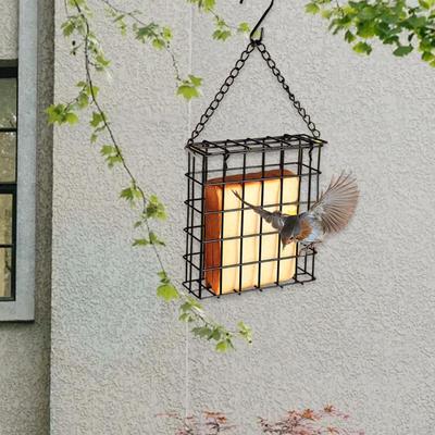 Bird Suet Cake Feeder Outdoor Hanging Sturdy Decor with Chain Square Garden Cage Holder for