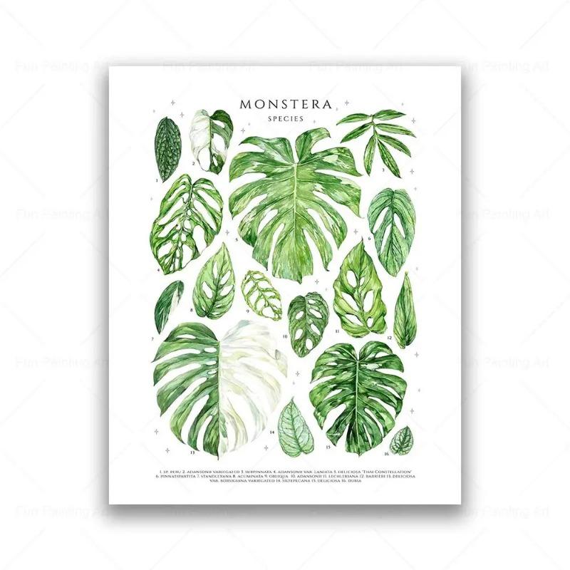 Botanical House Plant Canvas Painting Educational Poster Leaves Print Wall Art Picture Kids Room Decor Plant Lovers Gift
