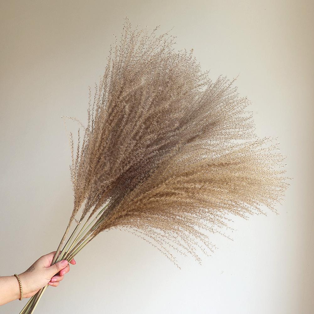 Wabi-sabi Dried Flower Arrangement: Reed, Pine Cones, Cotton, Wheat, Poppy Bouquet