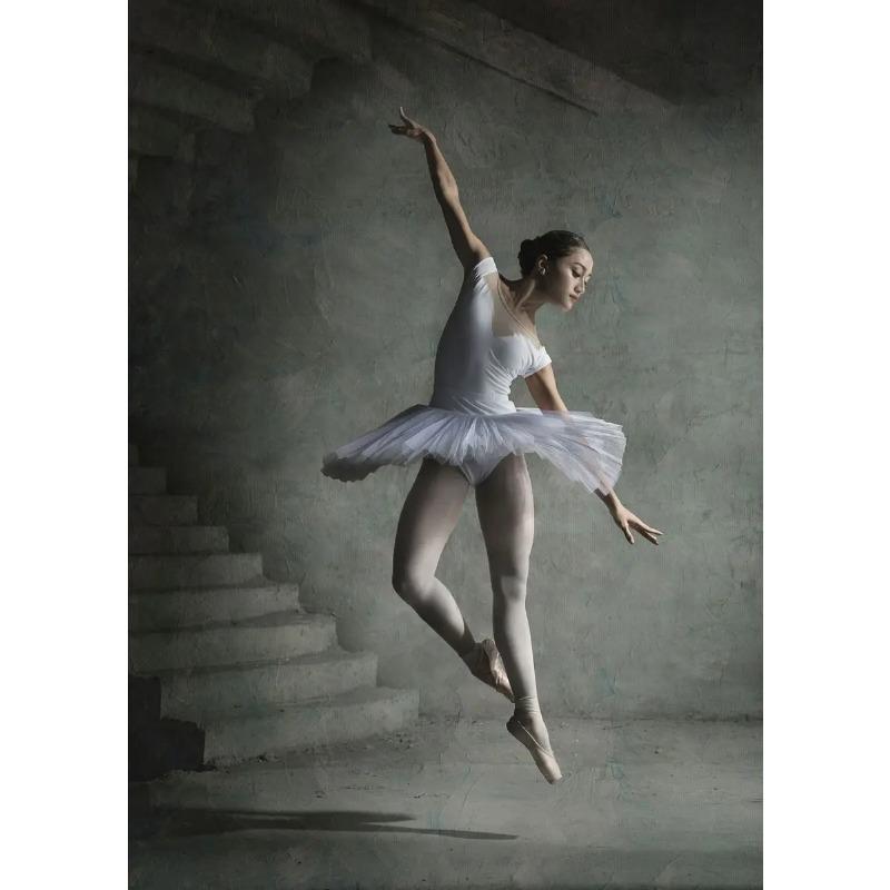 

Балерины черно-белые винтажные постеры и принты печать на холсте настенное искусство картина для танцевальной комнаты гостиная домашний декор 21cm×30cm NoFrame