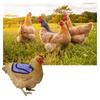 Sela de Galinha Impermeável Acessórios Divertidos de Proteção Protetor de Penas Jaqueta Traseira Avental Protetor de Galinha Sela de Frango Roupas para Animais