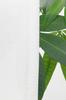 Mirror Lace Curtains That Are Hard To See Through At UV Protection TEIJIN Coolness Set of 100cm Wide X 176cm Long Night, (WH) Heat-shielding 2,