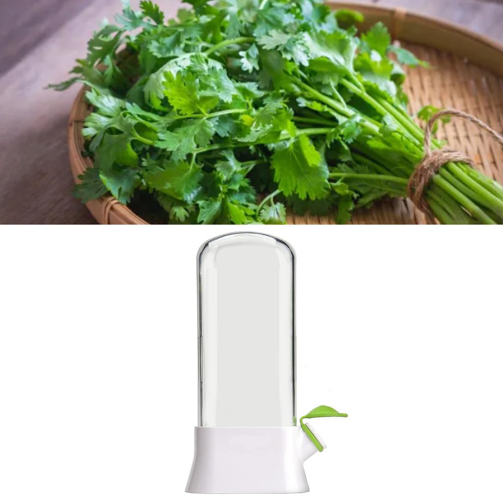 Herb Keeper for Refrigerator Plastic Herb Saver Pod Cilantro Storage Container for Mint Parsley Asparagus