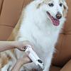 2-in-1 Cat Nail Grinder Quiet Operation LED Dog Nail Trimmer USB Rechargeable Splash Guard Nail Grooming Tool