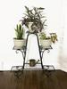 Flower 3 Width Gardening Flower Garden Living Height High Large Stand, Iron, Black, Tiers, 80, Rack, Indoor, Outdoor, Stand, Cute, Houseplants,