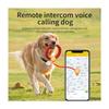 4G SIM-Karte Haustier-Tracker Echtzeit Haustier Katze Hund GPS-Tracking Halsbänder Intelligenter Haustier-Aktivitätsmonitor Tracking-Gerät