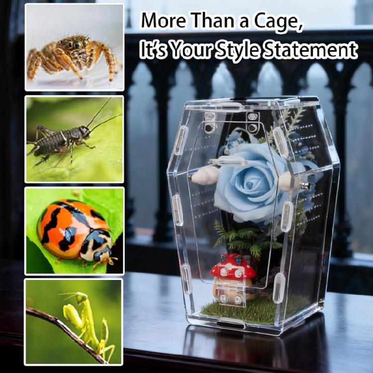 Acrylic Miniature Pet Terrarium For Jumping Spiders Hermits Mantis Practical Jumping Spiders Enclosure