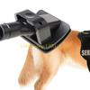 Köpek – Köpek bakım ürünleri