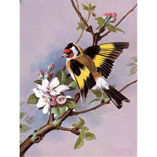 5D Diamond Painting Birds Kit DIY Full Drill Round Diamond Embroidery Animal Mosaic Picture of Rhinestones Home Decoration