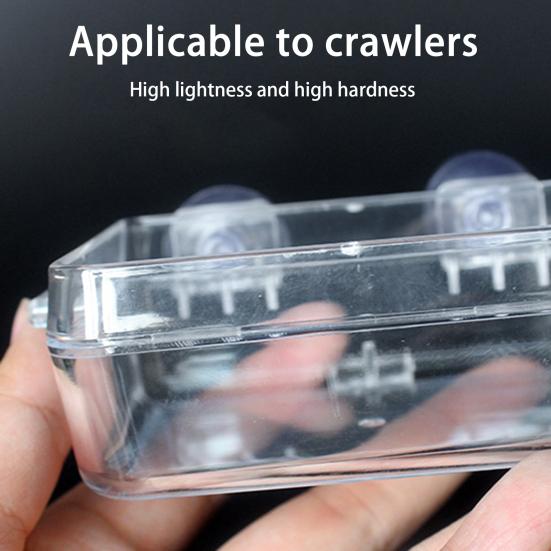 Yousheng Crawling Pet Feeder Anti-escape Suction Cup Fixed Not Easy To Fall Detachable High-Hardness Lizard Gecko Crawling Pet Bowl for Home