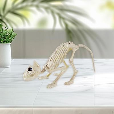 Skeleton Cat Animal Halloween Decoration Realistic Bones Scary Party Props for