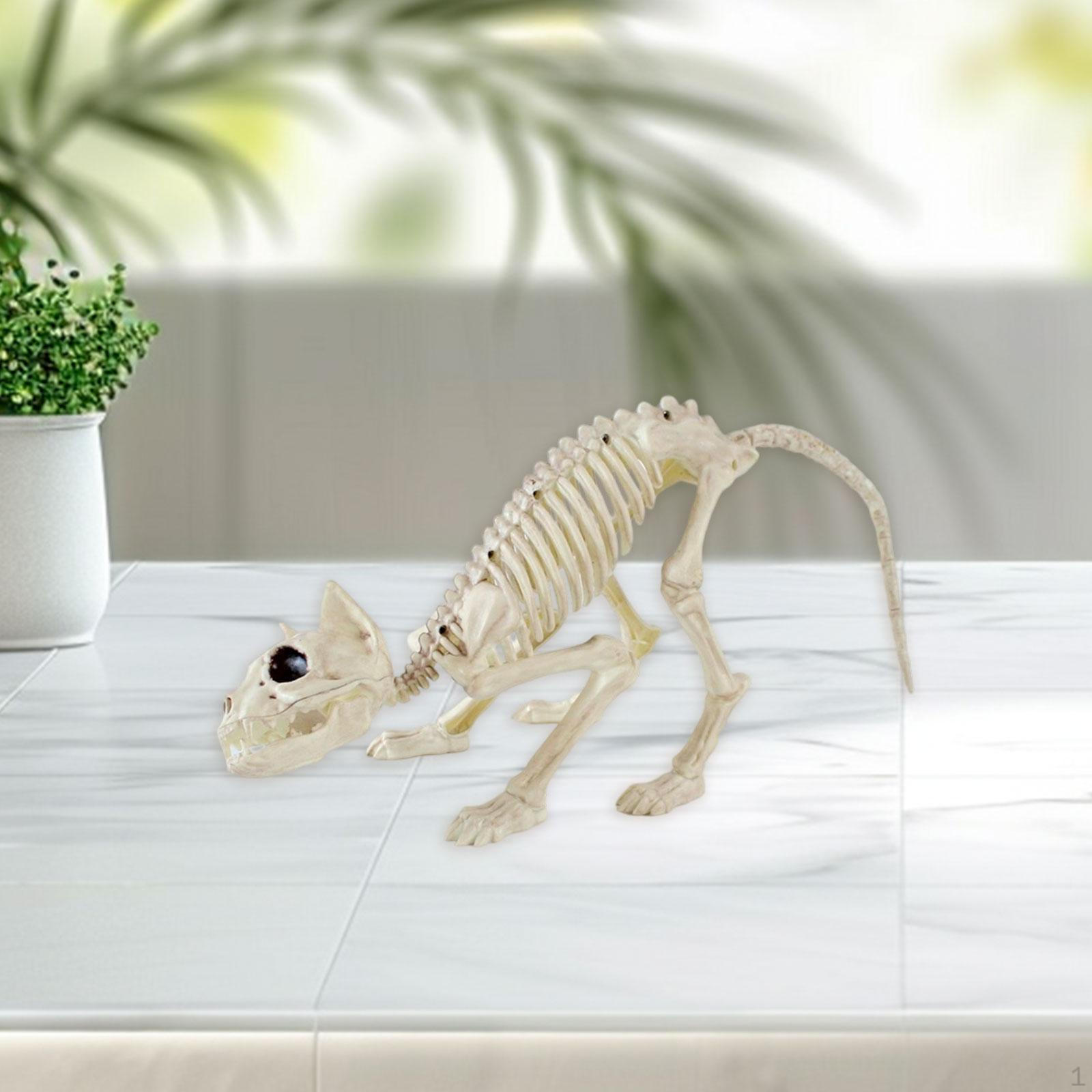 

Скелет Кошки Животное Хэллоуин Украшение Реалистичные Кости Страшный Реквизит для Вечеринки для