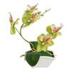 Butterfly Orchid Flower Home Office Decor with Flowerpot