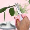 Pink Pruning Tools Blue Garden Scissors Hand Cutter Garden Pruning Shears  for Flowers Branches