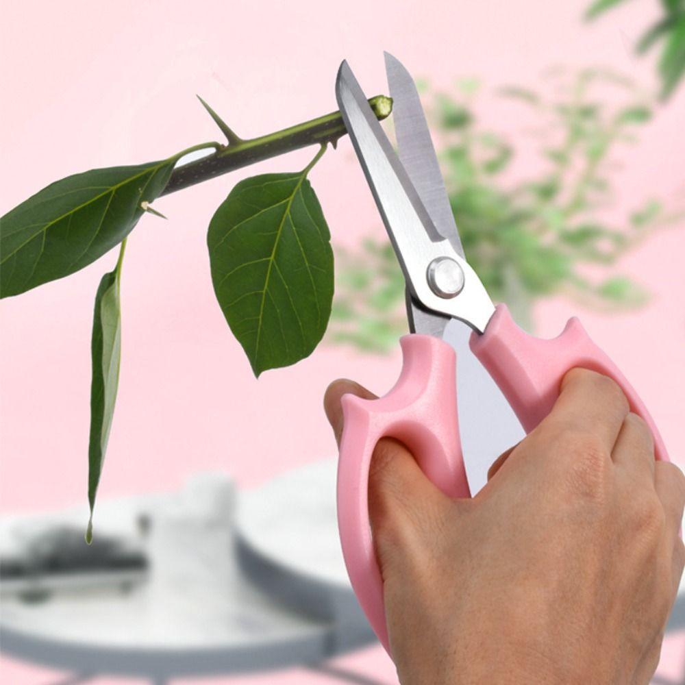 Pink Pruning Tools Blue Garden Scissors Hand Cutter Garden Pruning Shears  for Flowers Branches