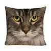 Tiger Lion Cat Wolf Printed Polyester Pillow Cover Cushion Cover Bedroom Home Sofa Square Animal Decorative Pillowcase 45X45Cm