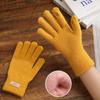 Korean Style Winter Touchscreen Knitted Gloves - Cute, Warm, Cold-Proof for Female Students & Cycling