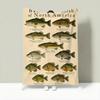 Vintagefreshwaterfishchart Throw Lightweight 240G Flannel Blanket Soft Skin-Friendly For Summer Cooling