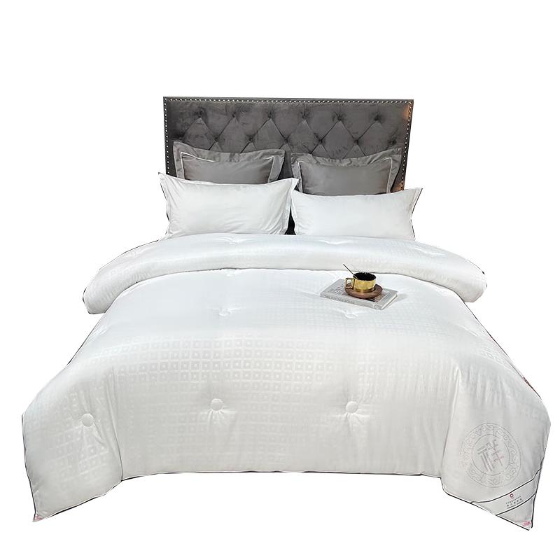 

Luoxinu Auspicious Cloud Jacquard Silk Quilt