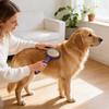 Pet Comb For Cats And Dogs With Plastic Pins For Fur Removal And Deshedging