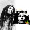 Bob Marley Bedding Set With 3d Digital Print Modern Minimalist For Home Decor