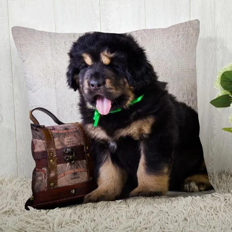 Niedliches Tibet Mastiff Welpen Muster Kissenbezug Muster Kissenbezug Geeignet für Sofa Schlafzimmer Auto Kissenbezug