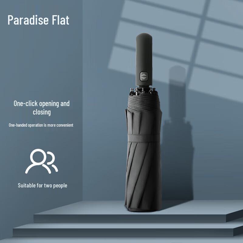 Tiantang Automatic 10-Rib Reinforced Compact Umbrella