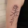 Tatuagens e arte corporal – Tatuagens temporárias