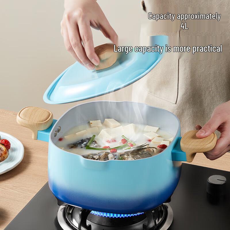 COOKER KING Blue Bird 22cm Multi-purpose Pot