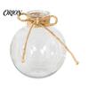 Artistic Home Decor Vase Clear Round Resin Vase, Transparent Sphere Flower Pot with Jute Stylish for Windowsill Bow, Modern Plastic Planter Hydroponic