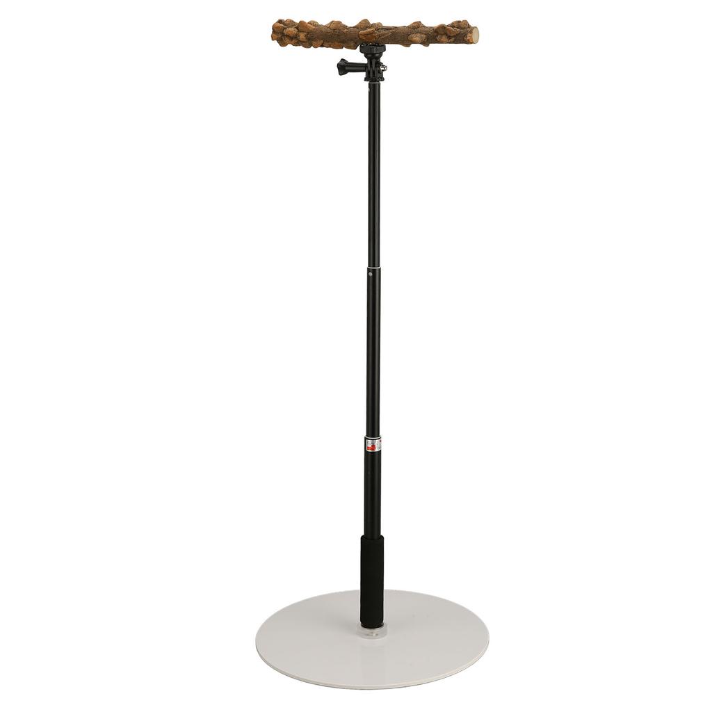 Suporte ajustável para pássaros, portátil, removível, para brincar de papagaio, para viagens em ambientes internos e externos