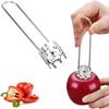 Instrumentos para trabalhar com frutas e vegetais – Máquinas para descaroçar maçãs